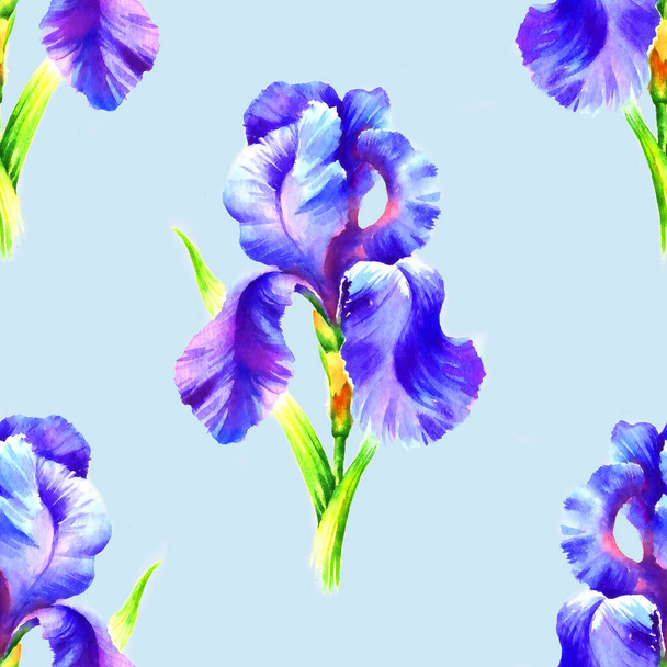 Watercolor hand paint iris flower, seamless pattern for textile, wallpaper, background. - Fotoğraf, Görsel