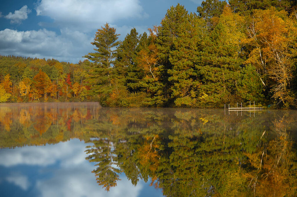 Podzimní stromy se odrážejí od čistého jezera. Podzimní barvy na Lakeshore. Venkovní horizontální sezónní pobřeží.   - Fotografie, Obrázek