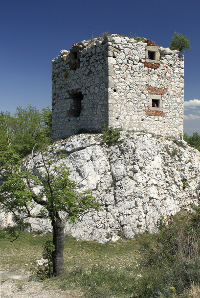 artillerietoren van devicky kasteel - Foto, afbeelding