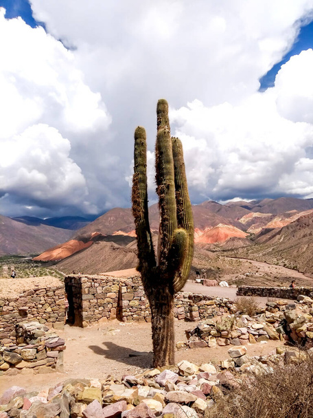 Tilcara, Jujuy, Argentinië. 20 januari 2020. Pucara de Tilcara. Foto van de cactus en de archeologische site. Bewolkte lucht.  - Foto, afbeelding