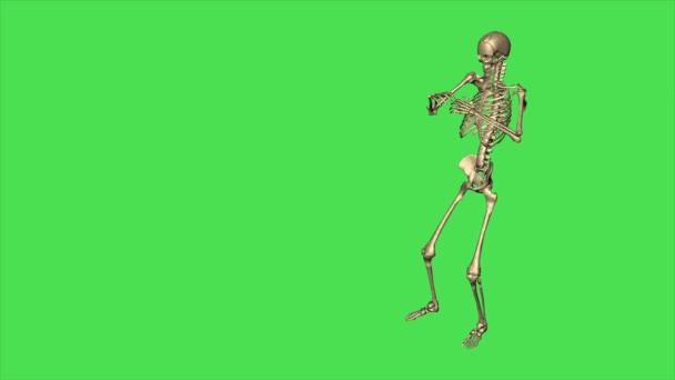 Skelettuhr mit Fernglas - getrennt auf grünem Bildschirm - Filmmaterial, Video