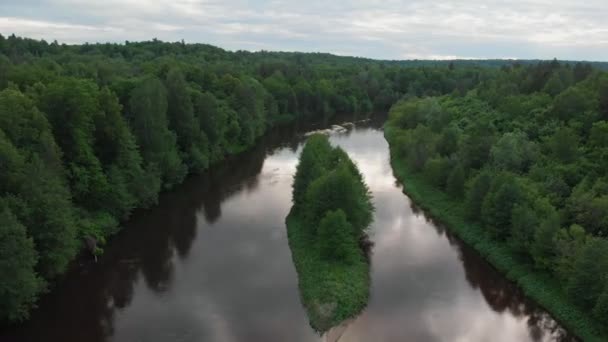 Paesaggio naturale - il fiume divide la foresta verde di conifere in due metà - Filmati, video
