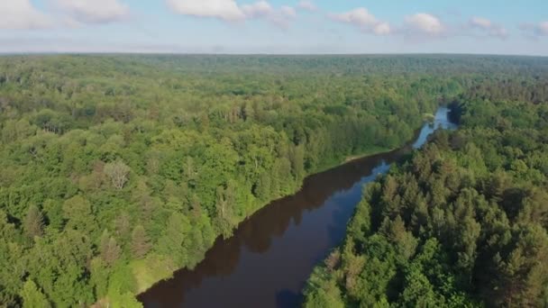 Paisaje de naturaleza verde: el río se extiende entre el bosque de coníferas
 - Metraje, vídeo