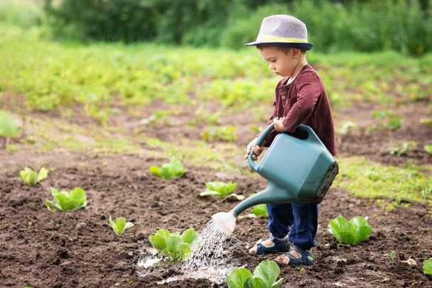 little boy watering plants - Foto, immagini