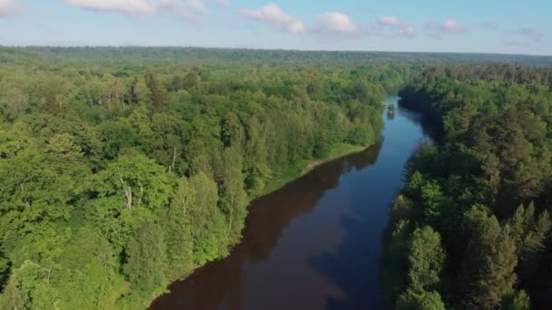 Paisaje de naturaleza verde: el río se extiende entre el verde bosque de coníferas
 - Metraje, vídeo