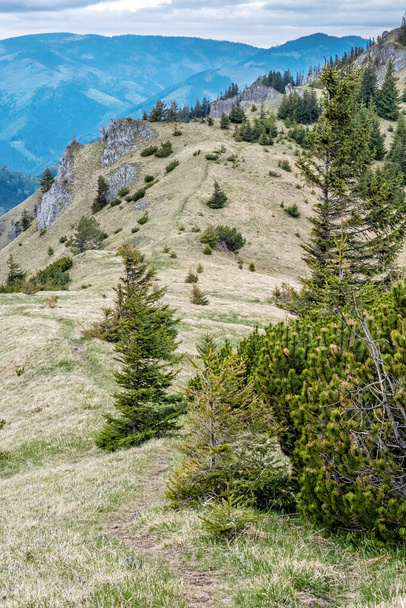 Uplazy kövek Salatin domb, Alacsony-Tátra hegység, Szlovák Köztársaság. Utazási cél. Túrázás téma. - Fotó, kép