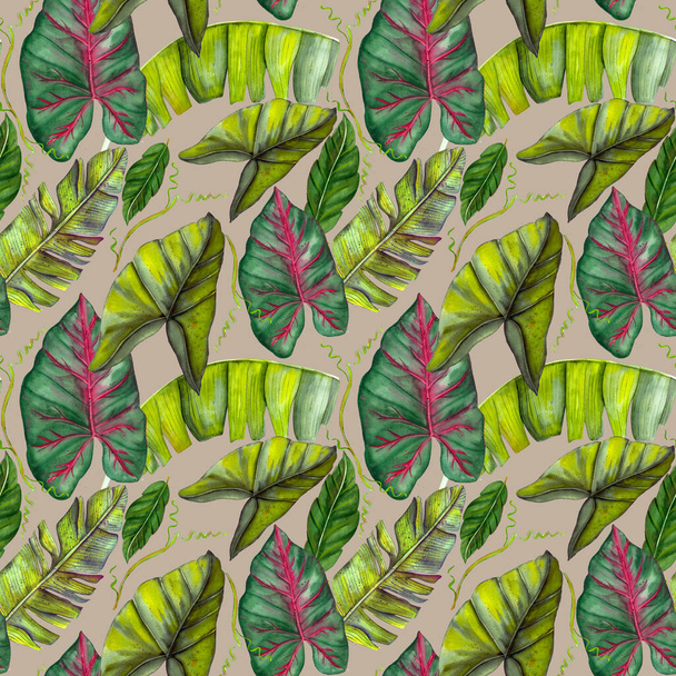 Bezproblémový exotický vzor s tropickými banánovými listy ve stylu vintage. - Fotografie, Obrázek