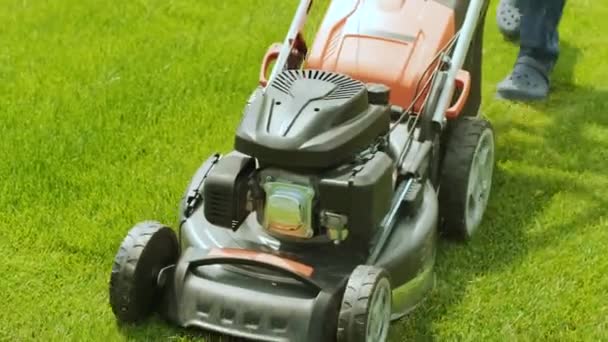 Çim biçme makinesi çimleri kesiyor. Bahçe işleri. Güneşli bahçede çim biçme makinesiyle çimleri biçmek. Bahçede çim biçme makinesiyle çalışan bahçıvan. Çim biçme makinesi yeşil çimleri kesiyor - Video, Çekim