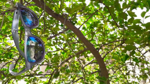 Gafas de sol multicolores en marco grueso de plástico colgando de las hojas verdes de un árbol a la luz del sol
. - Foto, Imagen
