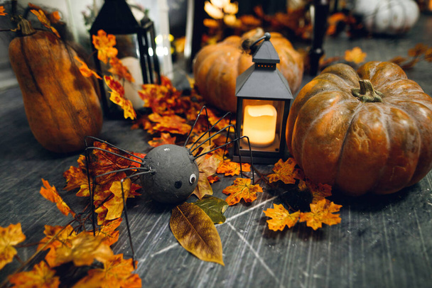 Halloween-Dekor für die Feier. Schwarze Spinne mit einem Auge, Kürbisse, Kerzen zwischen Herbstblättern - Foto, Bild