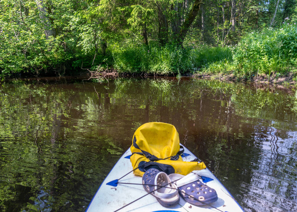 pohled ze stoje na padlle na břehu malé divoké řeky, pohled na zelenou lesní řeku, odrazy v říční vodě, léto - Fotografie, Obrázek