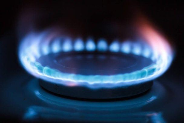 Fuego azul en quemador de gas
  - Foto, Imagen