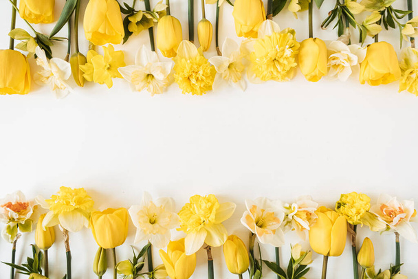 Ramka wykonana z żółtego narcyza i kwiatów tulipanów na białym tle. Flat lay, widok z góry kwiatowy puste kopia szablon makiety przestrzeni - Zdjęcie, obraz
