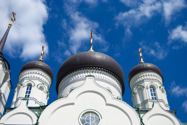 The Blagoveshchensk cathedral. A detail. - Φωτογραφία, εικόνα