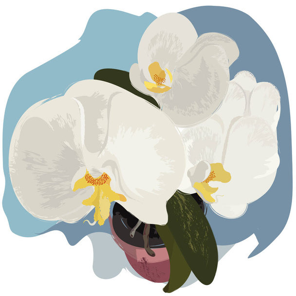 Gri-mavi arkaplanda bir saksıda orkide çiçeği. - Vektör, Görsel