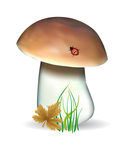 Mushroom with autumn sheet and a ladybird - Διάνυσμα, εικόνα