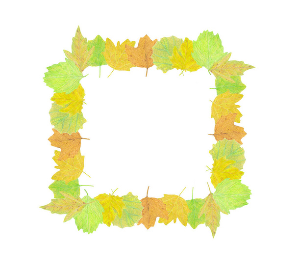 Ручная рама акварельные карандаши на бумаге - красивые зеленые и желтые осенние листья
. - Фото, изображение