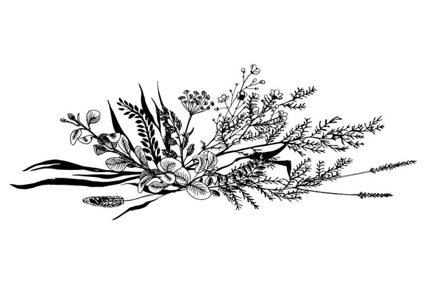 Herbes sauvages et fleurs peintes ligne noire. - Vecteur, image