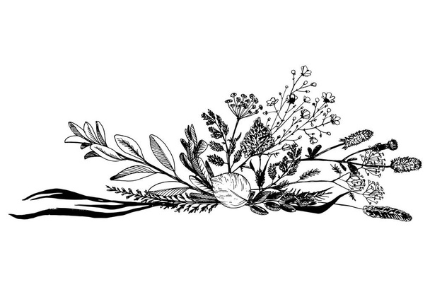 Wild herbs and flowers painted black line. - Vetor, Imagem
