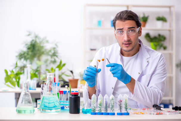 Young male chemist working in the lab - Фото, зображення