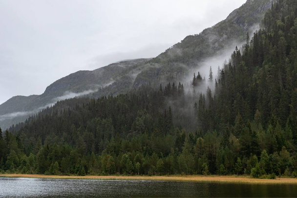 Clouds on lake in Norway mountains. Autumn travel wild nature. Foggy scandinavia cloudy pine forest - 写真・画像