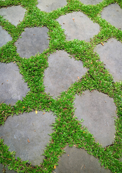 Graminées vertes vibrantes rougeoyantes entre les marches du jardin - Photo, image