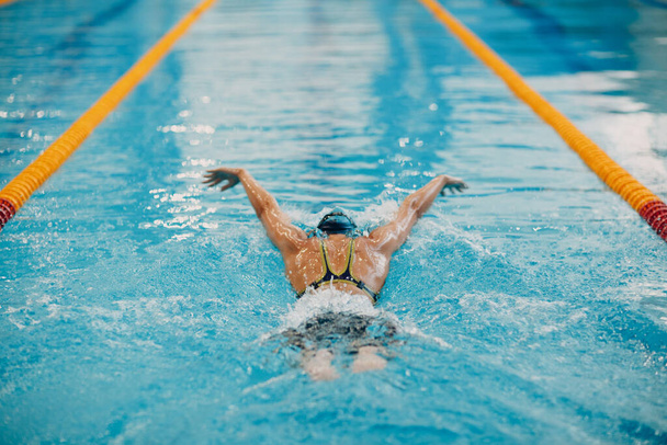 Young woman swimmer swims in swimming pool. Back view. - Foto, Bild