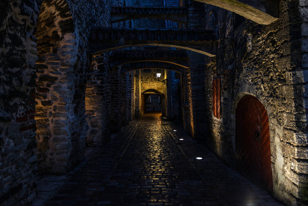 Vista nocturna del paso de Santa Catalina en Tallin, Estonia, un pasaje medieval que contiene algunos de los restos antiguos de un monasterio dominicano en la ciudad
. - Foto, Imagen