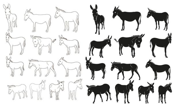 isolated silhouette of a donkey, set - Vector, Image