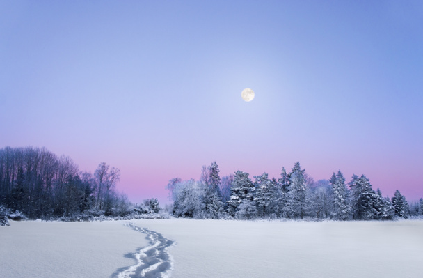 este téli táj telihold - Fotó, kép