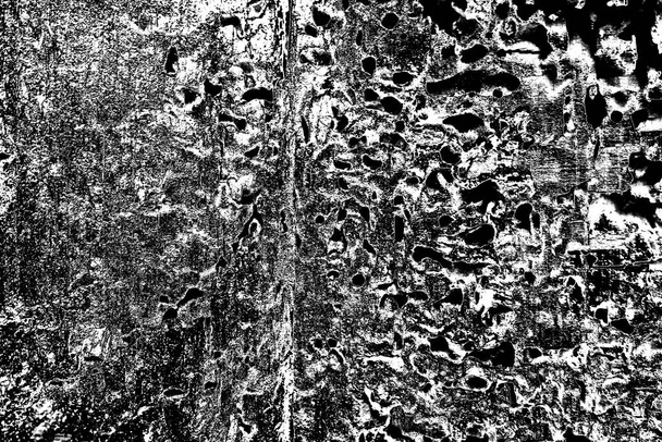 patrón de termitas en madera - Foto, imagen