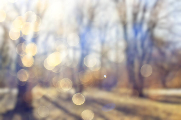 розмитий фон осінній ліс, абстрактне мистецтво сонячний осінній парк, сяючий жовтень вид
 - Фото, зображення