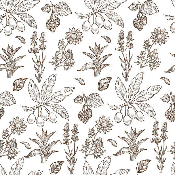 Plants used in alternative medicine cosmetics, seamless pattern of sea buckthorn and aloe vera leaves, blooming flowers. Hippophae berries on branch. Monochrome sketch outline, vector in flat style - Vector, Image