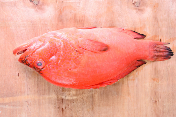 rode vis op hout - Foto, afbeelding