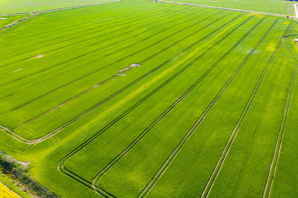 Légi kilátás zöld buja mezőgazdasági termőföldekre - Fotó, kép