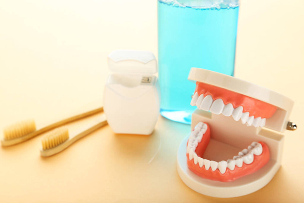 Teeth model with bottle of mouthwash, toothbrushes and dental thread on beige background - Fotó, kép