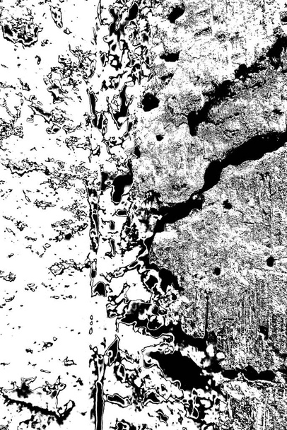 termitový vzor ve dřevě - Fotografie, Obrázek