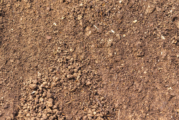 Hedelmällinen maaperä - pellolla jauhettu turpeen kanssa sekoitettu - Valokuva, kuva