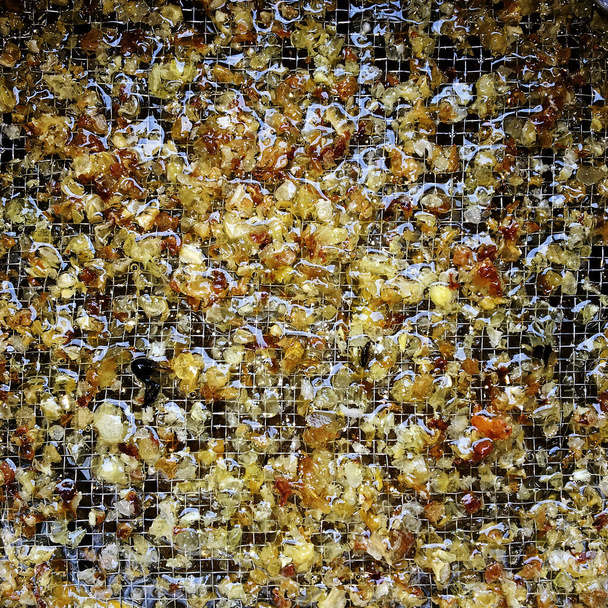 Gota de miel de abeja goteando de panales hexagonales llenos de néctar dorado. Honeycoms composición de verano que consiste en la gota de miel natural, goteo en la cera marco de la abeja. Gota de miel de abeja goteando en panales. - Foto, Imagen