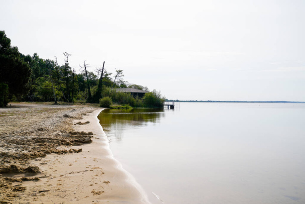 biscarrosse sand wild beach calm water in landes france - Fotografie, Obrázek