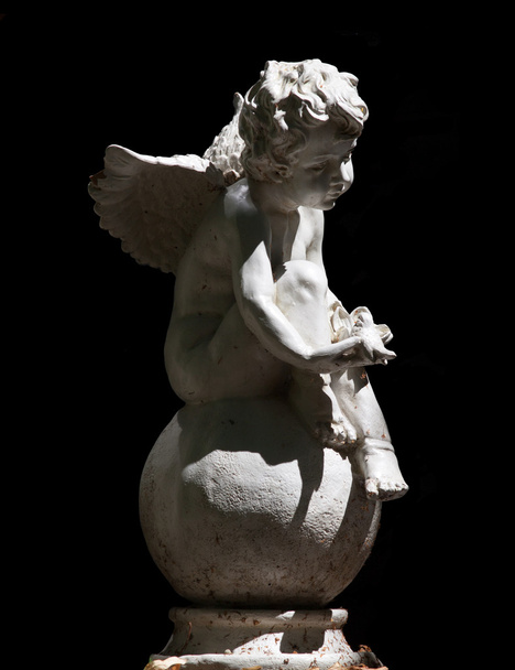 Ангел - Фото, изображение