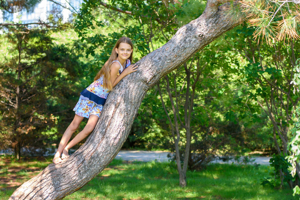 Dívka vylezla na strom hrát v městském parku - Fotografie, Obrázek