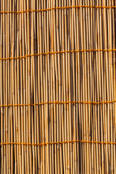 bambusz textúra - Fotó, kép