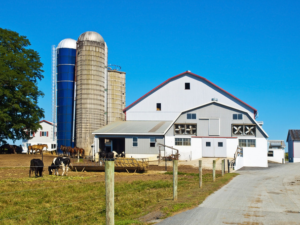 Amish Farm, Lancaster USA - Foto, Bild