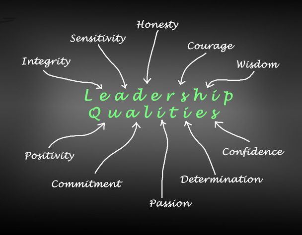 Diagram of leadership qualities - Photo, Image