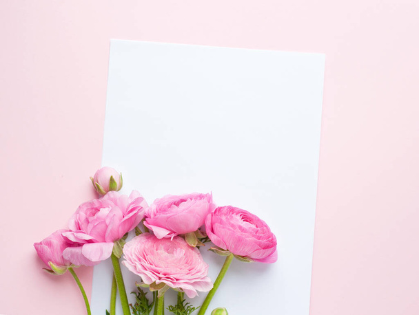 A bouquet of pink ranunculus flowers. A white sheet of paper lies on pink paper. Top view, copy space. Concept Mother's Day, Family Day, Valentine's Day - Photo, image
