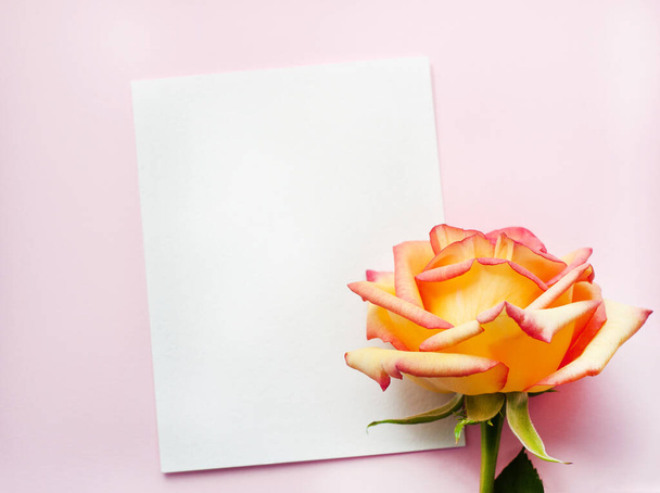 A sheet of paper lies horizontally on pink paper, a yellow rose flower, top view, copy space. Concept Mother's Day, Family Day, Valentine's Day - Foto, Bild