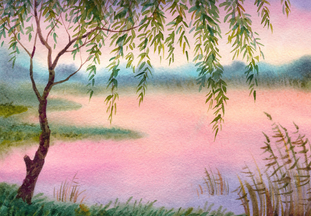Watercolor landscape. Willow by the lake - Photo, Image