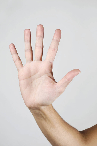 Handzeichen auf weißem Hintergrund - Foto, Bild