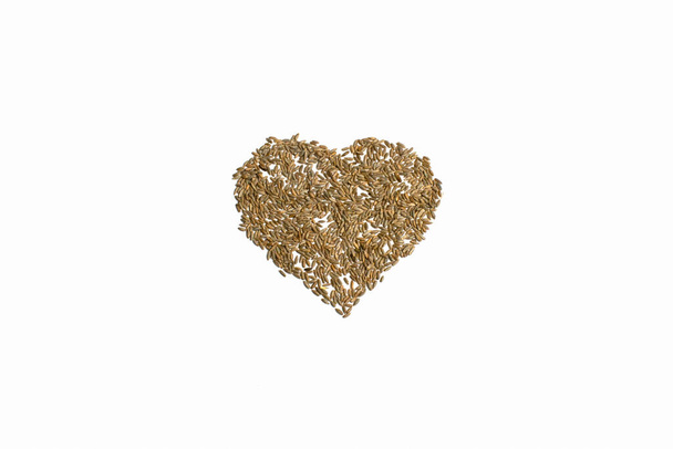 wheat grains in shape of heart on white background - Photo, image